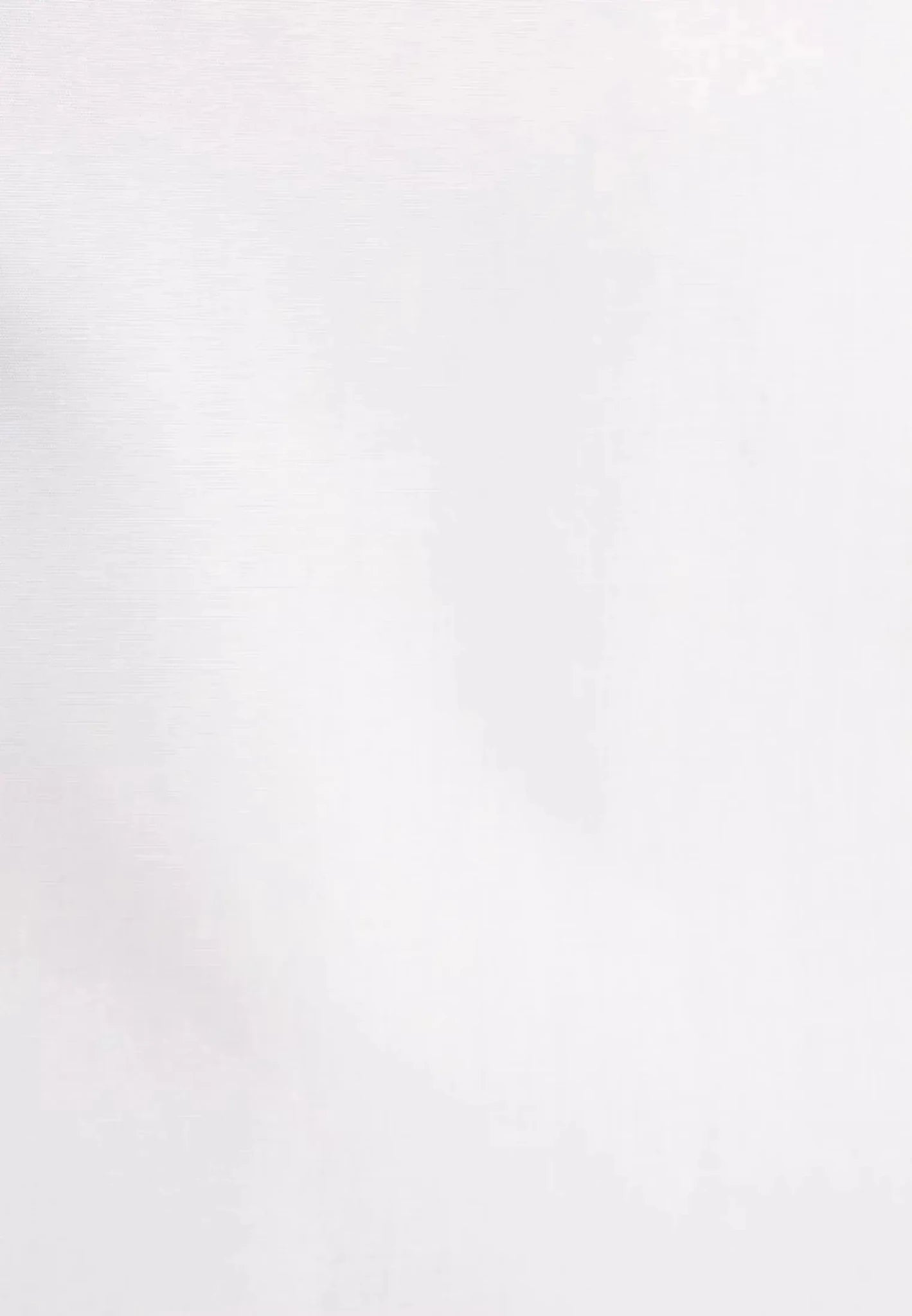 Seidensticker Shaped Fit No Iron Kent Collar Business Shirt White - northern threads