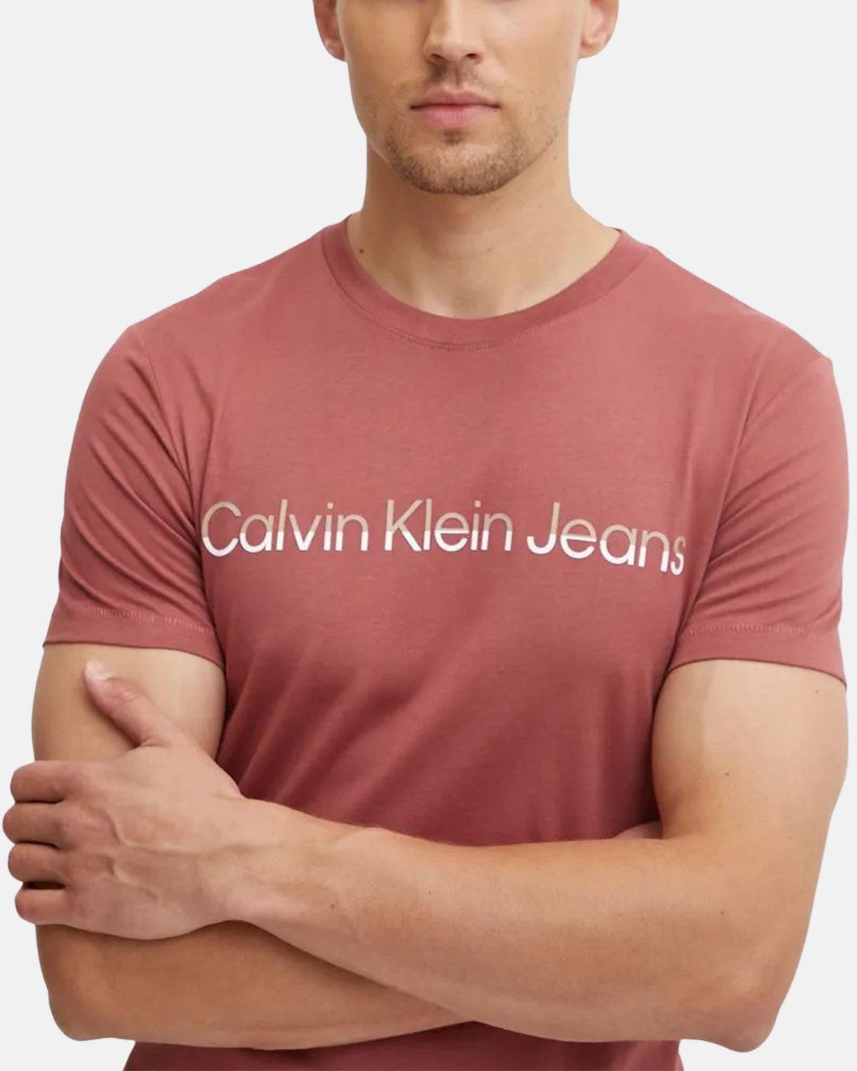 CALVIN KLEIN MIXED INSTITUTIONAL T - SHIRT APPLE BUTTER - CALVIN-KLEIN-J30J325676-VAI-S - northern threads uk