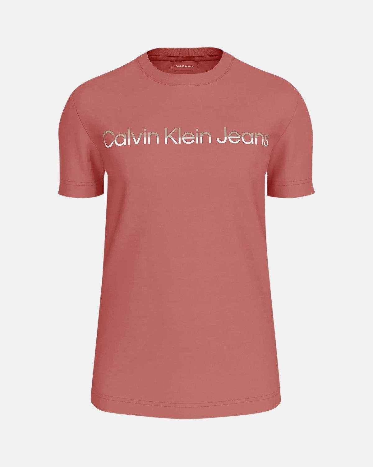CALVIN KLEIN MIXED INSTITUTIONAL T - SHIRT APPLE BUTTER - CALVIN-KLEIN-J30J325676-VAI-S - northern threads uk