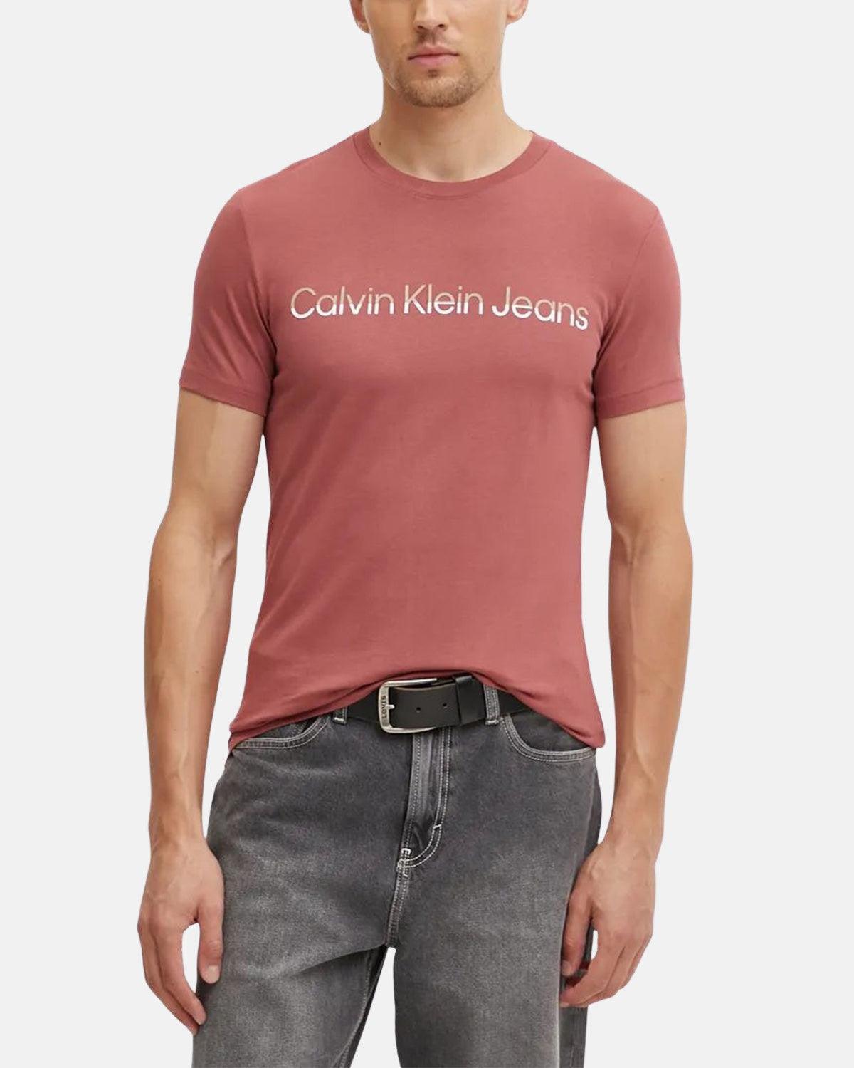 CALVIN KLEIN MIXED INSTITUTIONAL T - SHIRT APPLE BUTTER - CALVIN-KLEIN-J30J325676-VAI-S - northern threads uk