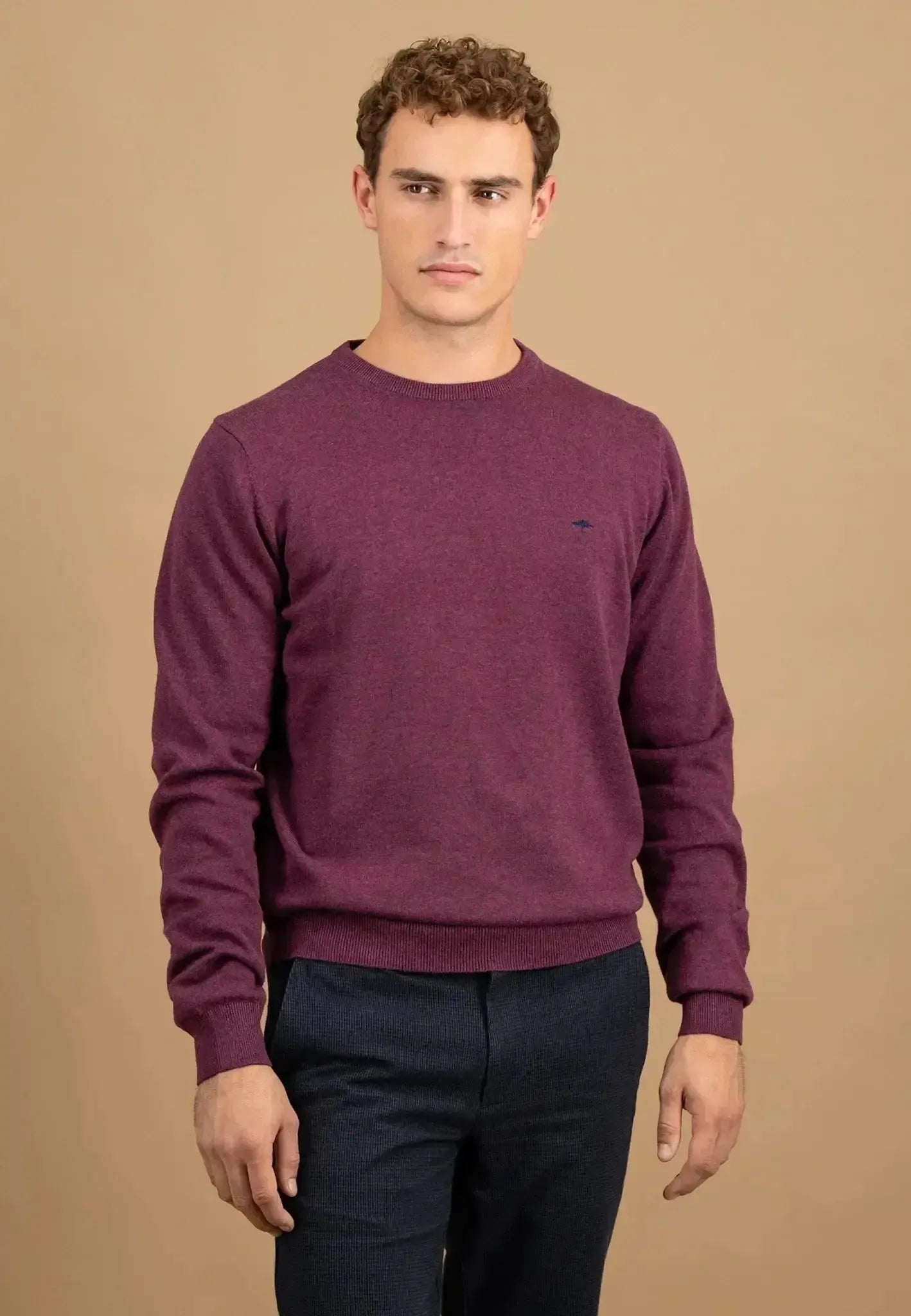 FYNCH-HATTON-Fynch-Hatton Fine Knit Cotton Crewneck Deep Merlot-NORTHERN THREADS DESIGNER MENSWEAR