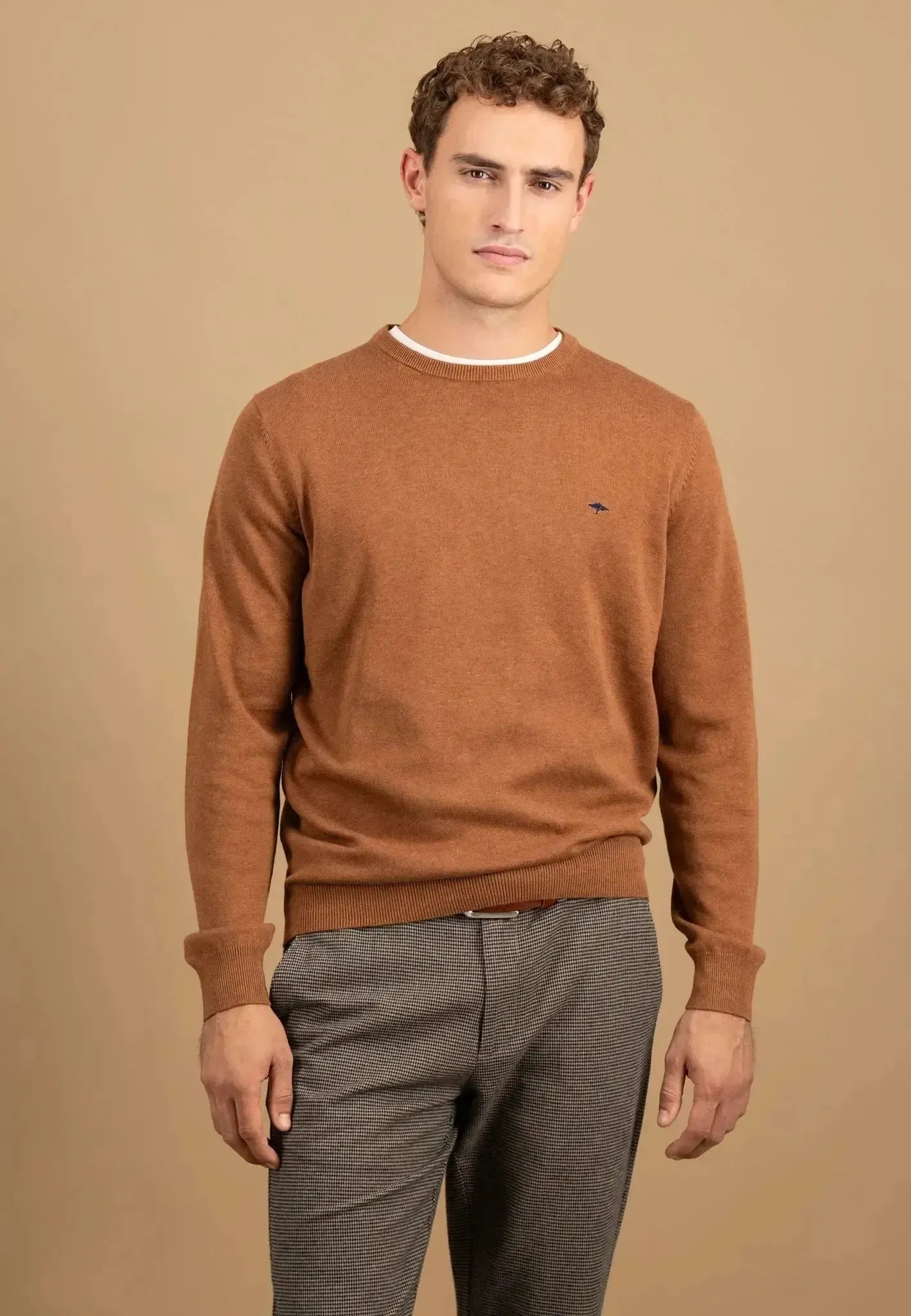 FYNCH-HATTON-Fynch-Hatton Fine Knit Cotton Crewneck Hazel-NORTHERN THREADS DESIGNER MENSWEAR