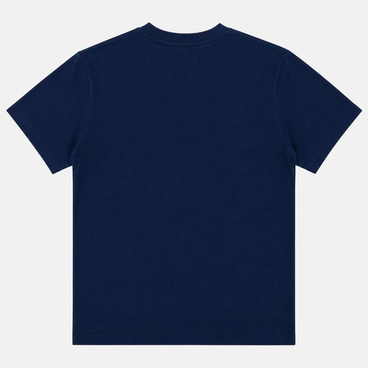 Sergio Tacchini Master Crew Neck T-Shirt Maritime Blue/Celery Green | Northern Threads Designer Menswear